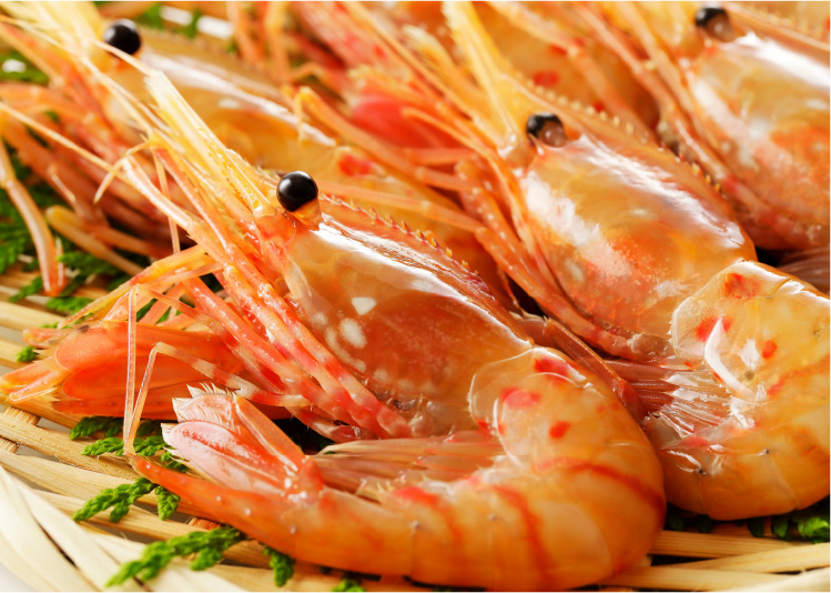 天然ボタンエビ