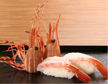 天然ボタンエビ