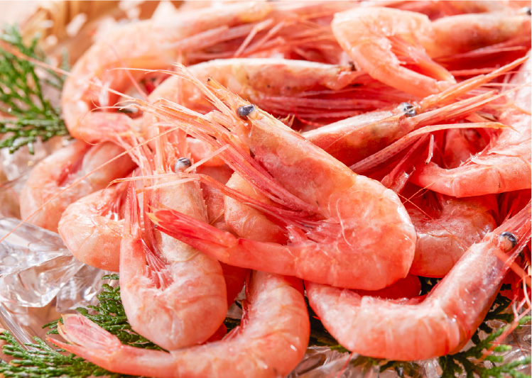 天然甘エビ