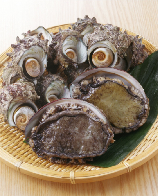 アワビ・サザエ