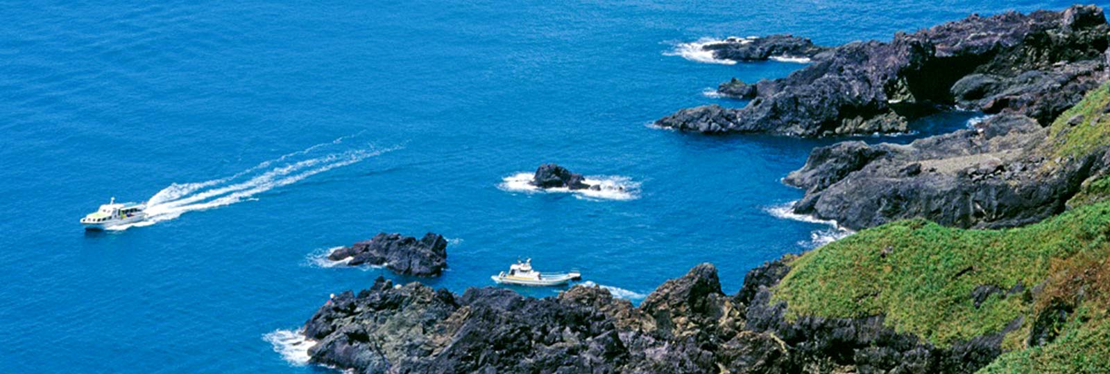 男鹿のオススメ地魚