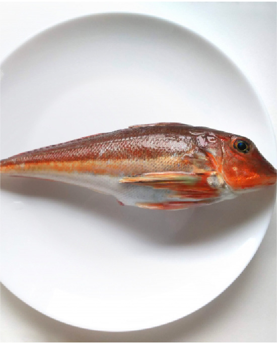 カナガシラ（キミヨ）