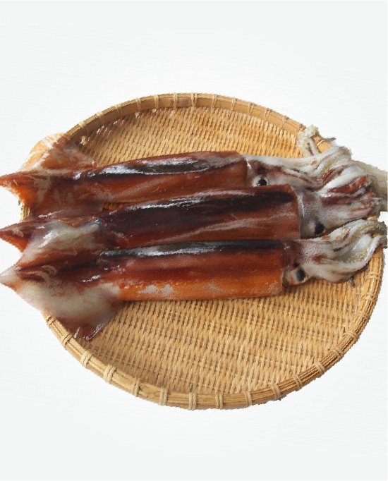 スルメイカ（マイカ）
