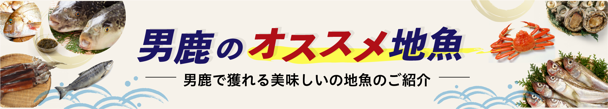 男鹿のオススメ地魚のご紹介