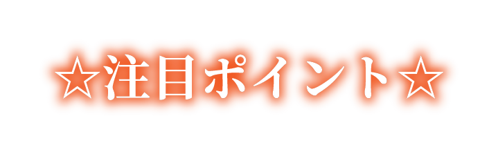 ☆注目ポイント☆