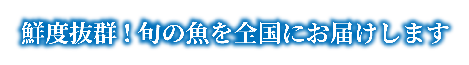 鮮度抜群！旬の魚を全国にお届けします！